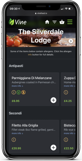 Screenshot of the mobile and pay at table app, Vine. Demo version.